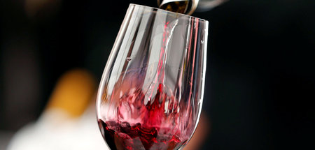 Ein Herz für Insekten: Auch Fliegen lieben’s französisch (Rotwei...