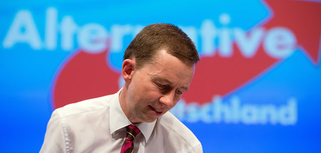 Bundesparteitag_der_45884600.jpg