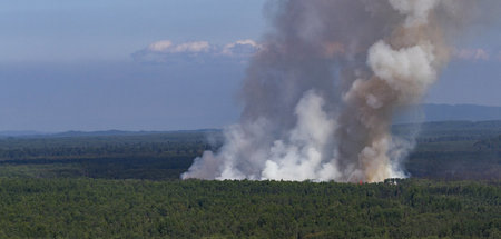Die Arktis brennt: Waldbrand bei Talkeetna (Alaska), Juli 2019