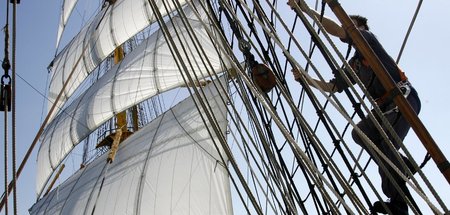 50_Jahre_Segelschuls_19205368.jpg