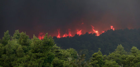 Feuer bei Psachna auf der Insel Euböa