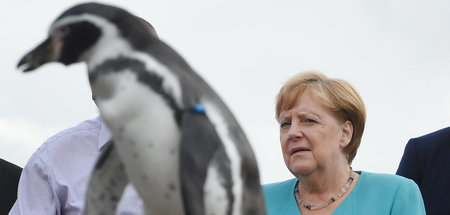 Bundeskanzlerin Angela Merkel (CDU) auf dem Dach des Ozeaneums i