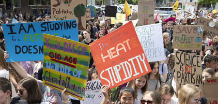 Auch in Frankfurt am Main fordern »Fridays for Future« und ander...