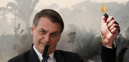 Zündeln für die Wirtschaft: Bolsonaro puscht ohne Rücksichtnahme...