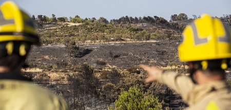 Feuerwehrleute betrachten ein verbranntes Gelände in La Palma d'...