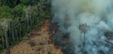 Waldbrand nahe der brasilianischen Stadt Candeias do Jamari in R...