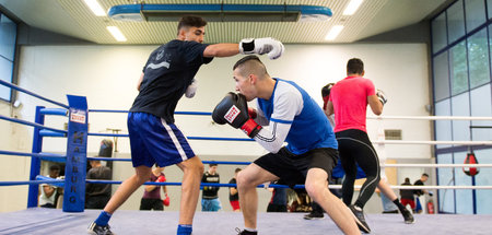 Steigen nicht in den Bundesligaring: Die Boxer der Hamburg Giant... Steigen nicht in den Bundesligaring: Die Boxer der Hamburg Giant...
