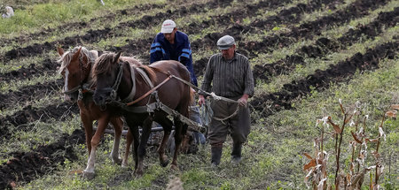 Sehr begehrt: Feinste ukrainische Schwarzerde