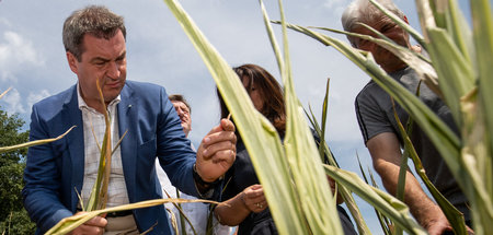 Soeder_besucht_Landw_58293563.jpg