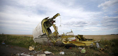 Ein Teil des Wracks der Maschine der Malaysia Airlines mit der F...