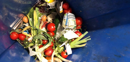 Ab einem gewissen Zeitpunkt werden Lebensmittel in der Logik des...