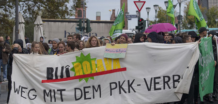Demonstranten von »Fridays for Future« in Frankfurt am Main ford...
