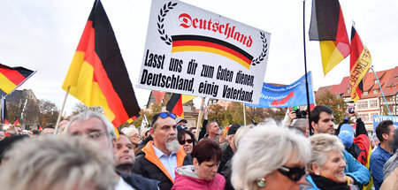 Die AfD und ihre Gefolgschaft: Wahlkampfabschluss der Partei in ...