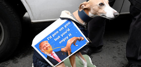 Hat kein Gesicht zu verlieren: Donald Trump