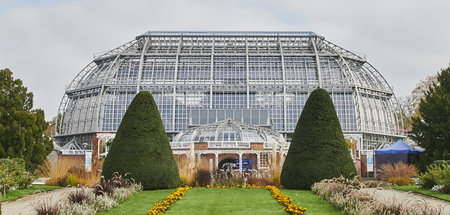 Großes Tropenhaus im Botanischen Garten in Berlin (23.10.2019)