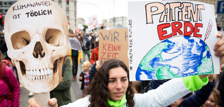 Demonstrantin von »Fridays for Future« mit Transparenten bei Pro...