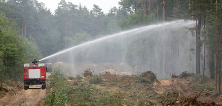 Waldbrand_bei_Luebth_61905268.jpg