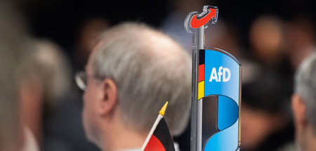 AfD_Bundesparteitag_63535450.jpg