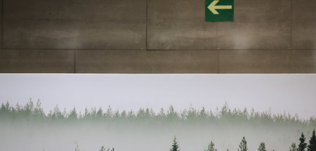 Dichter, grüner Wald bald nur noch als Fototapete: Im IFEMA Conv...