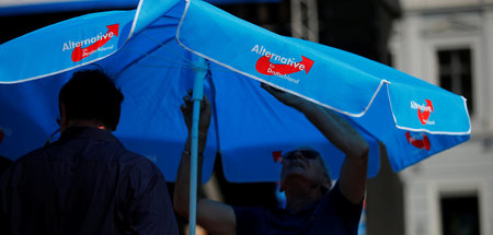 Unterwanderung erfolgreich? Die AfD hat schon längere Zeit die F... Unterwanderung erfolgreich? Die AfD hat schon längere Zeit die F...