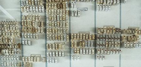 Das_Kolonialinstitut_c_Daniel_Kulle_2.jpg