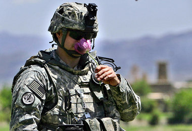 Rekordernte: US-Soldat schnuppert an Mohnpflanze Rekordernte: US-Soldat schnuppert an Mohnpflanze
