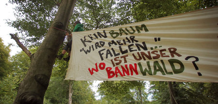 Umweltorganisation_b_55744981.jpg