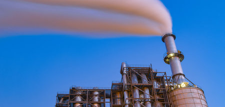 Ein weiteres Beispiel der »natürlichen« Symbiose von »Wohlstand ...