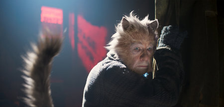 Merkwürdig entstellt: Tom Hoopers »Cats«
