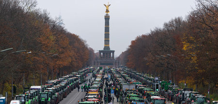 Bauernprotest_in_Ber_63487232.jpg