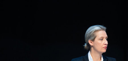AfD_Bundesparteitag_63535006.jpg