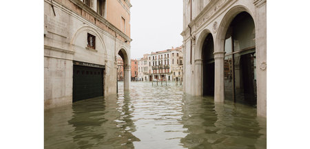 Bei Einheimischen und Küchenchefs gleichermaßen beliebt: Der Mer...