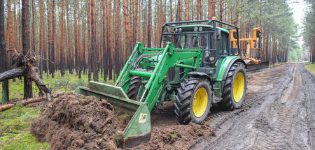 E-Mobilität? Für den Bau der Tesla-Gigafabrik muss Wald weichen ... E-Mobilität? Für den Bau der Tesla-Gigafabrik muss Wald weichen ...
