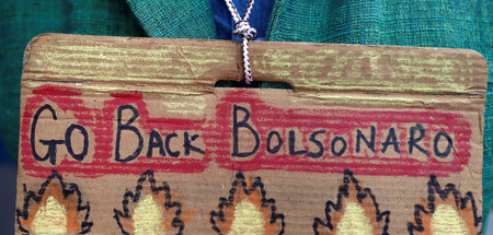 Wo Urwald wuchs, sollen Ölpalmen sprießen – darauf läuft Bolsona...