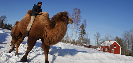 Wo liegt dieses Jante? Die märchenhaften Welten kehren zurück na...