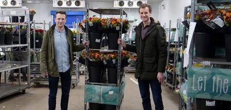 Bart (l.) und Bastian Verdel (r.) lieben Blumen und Pflanzen: »R...