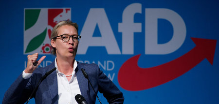 Rednerpose: Alice Weidel spricht beim Landesparteitag der AfD in...