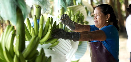 Ein ernstzunehmendes Lieferkettengesetz könnte Gewinne deutscher...