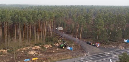 Demnächst mit freier Sicht: 92 Hektar Wald sollen der Tesla-Fabr