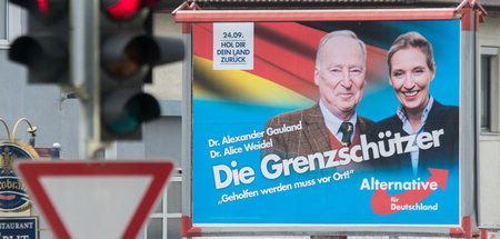 Nach_der_Bundestagsw_54823245.jpg