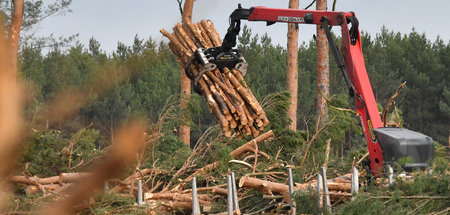 Baustelle_Tesla_Werk_64445968.jpg