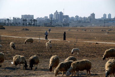 Nomadenleben nahe der Negev-Metropole Beer Sheva. Die Wüste mach...