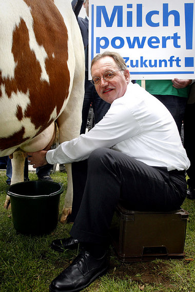 DBV-Chef Gerd Sonnleitner will dafür sorgen, daß die Milchbauern...