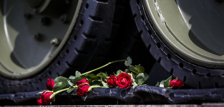 Rosen auf der Kette eines T-34 am sowjetischen Ehrenmal im Tierg