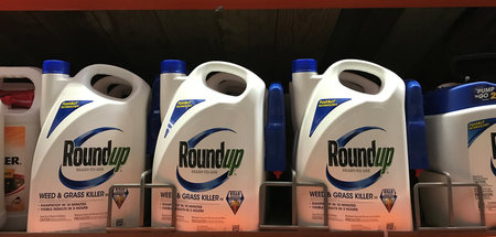 Weltweit vertrieben: Das glyphosathaltige Herbizid Roundup Weltweit vertrieben: Das glyphosathaltige Herbizid Roundup