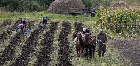 Bauern nahe Chwatiw: Landwirtschaftlich genutzter Boden zählt zu...