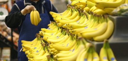 Früchte von Putschisten: Bananen basieren auf blutigen Geschäfte...