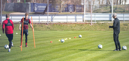 1._FC_Nuernberg_Trai_64966499.jpeg