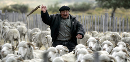 Ein Schafhirte im argentinischen Teil Patagoniens