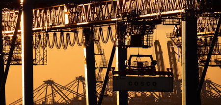 Containerschiff_im_H_64605710.jpg